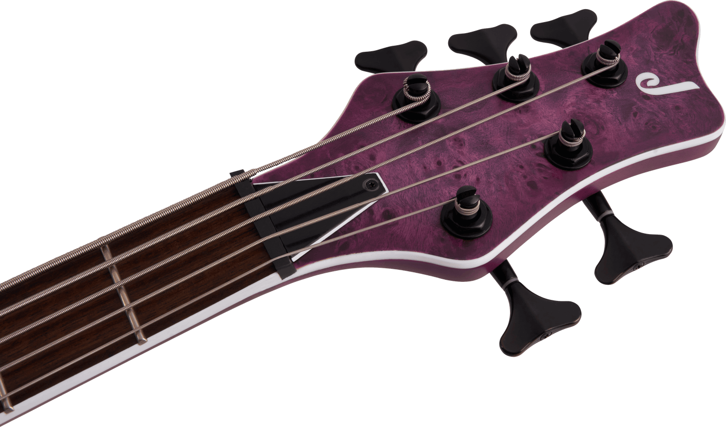 X Series Spectra Bass SBXP V